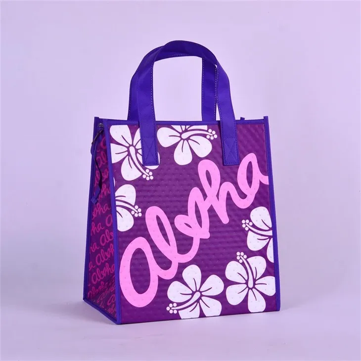 Einangraður matarpoki fyrir tösku