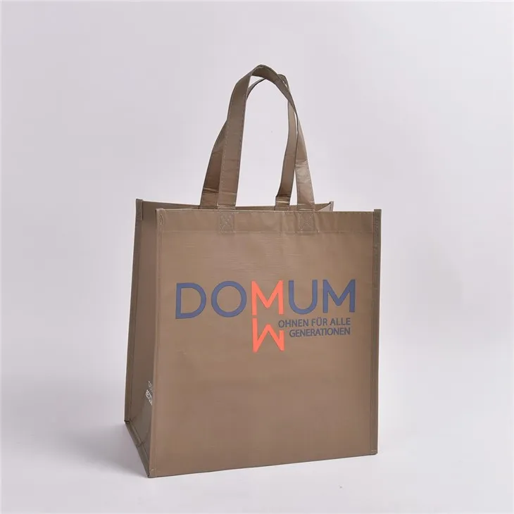 Rpet einnota innkaupapokar